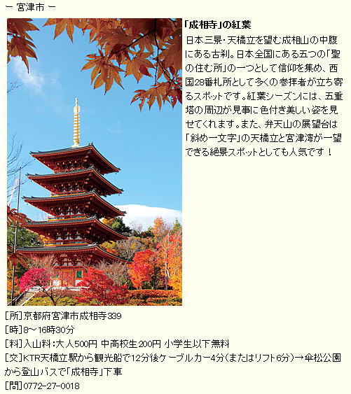 「成相寺」の紅葉  日本三景・天橋立を望む成相山の中腹にある古刹。日本全国にある五つの「聖の住む所」の一つとして信仰を集め、西国28番札所として多くの参拝者が立ち寄るスポットです。紅葉シーズンには、五重塔の周辺が見事に色付き美しい姿を見せてくれます。また、弁天山の展望台は「斜め一文字」の天橋立と宮津湾が一望できる絶景スポットとしても人気です！